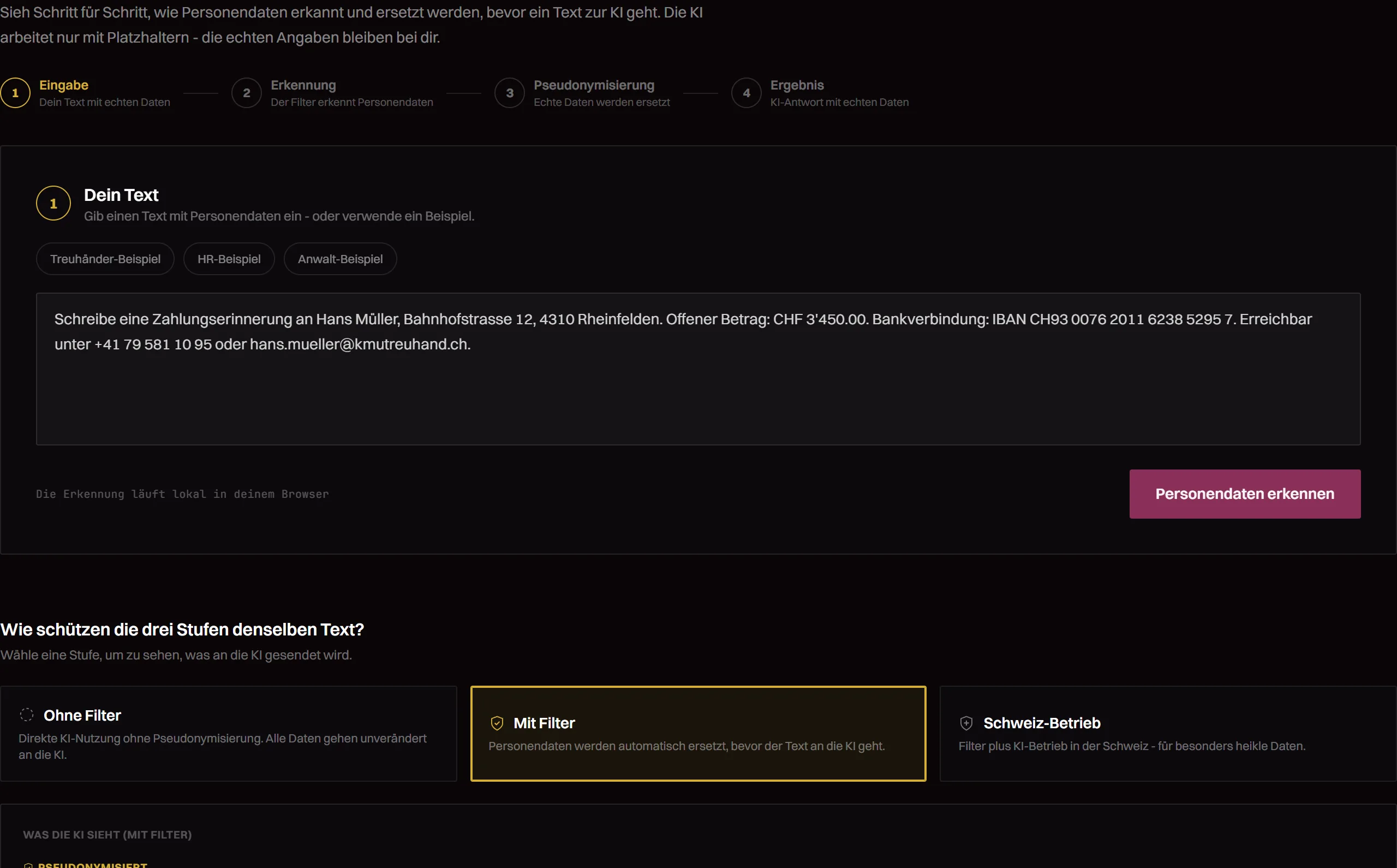 KI nutzen, ohne Personendaten preiszugeben