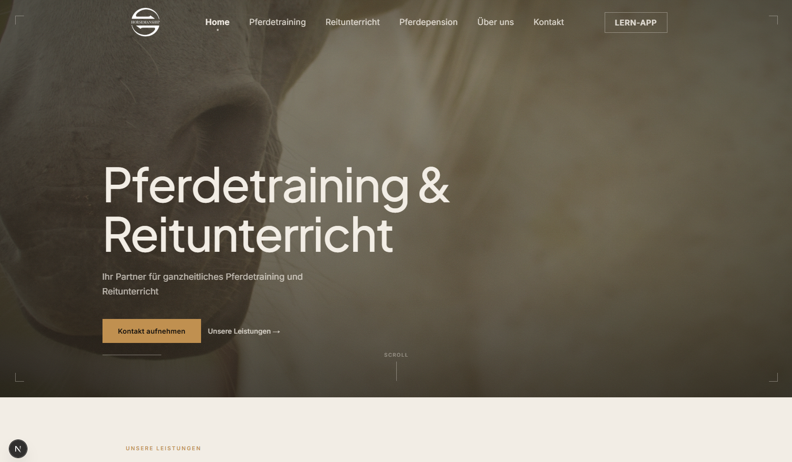 Equilibrium Horsemanship screenshot